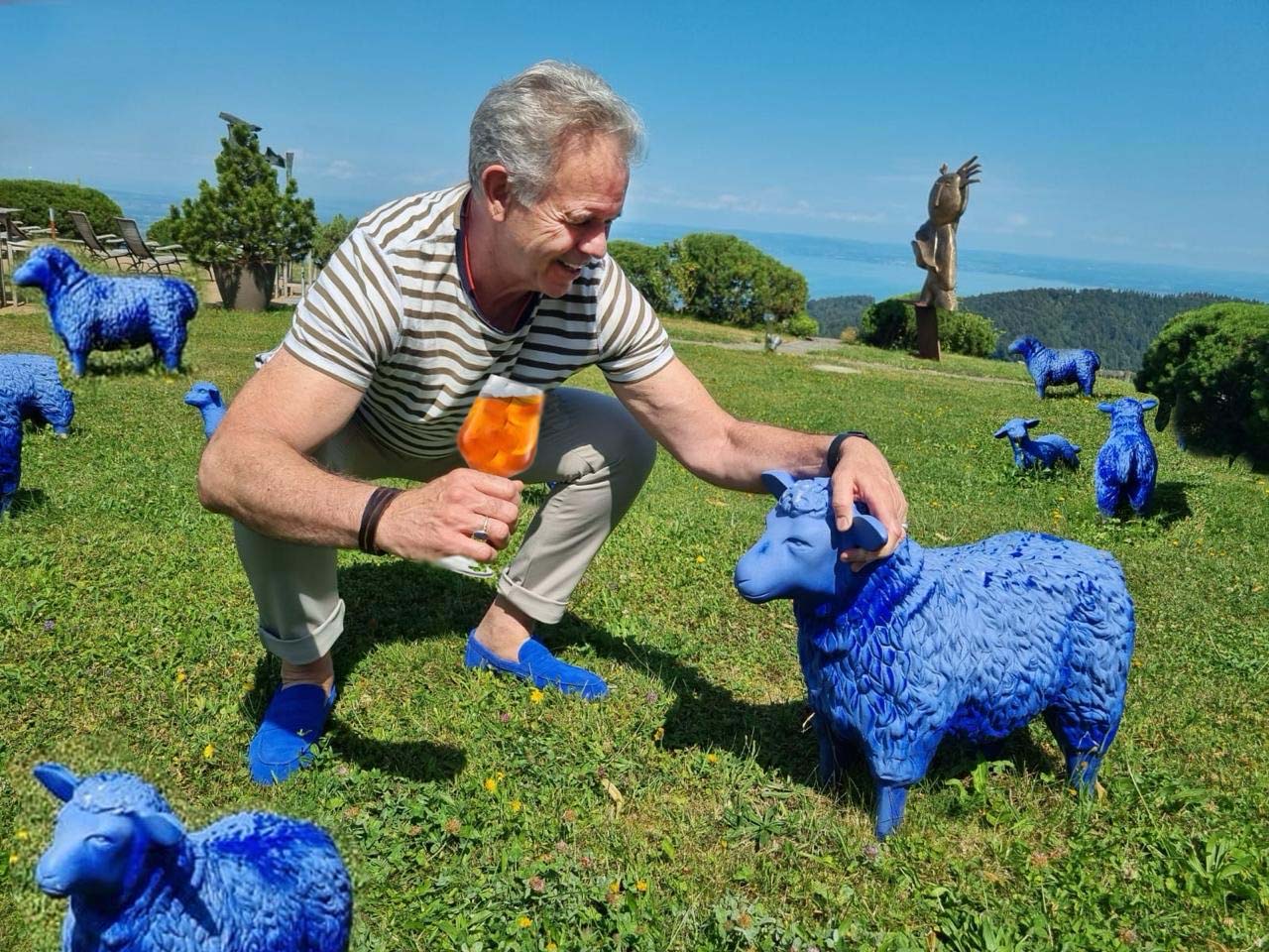 Glenn Blue Sheep
